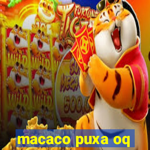 macaco puxa oq